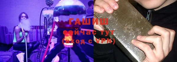 индика Пестово