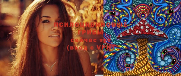 мяу мяу мука Елабуга