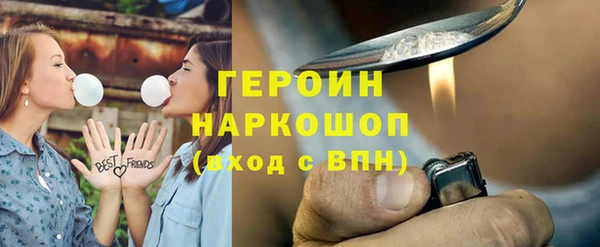 дживик Ельня