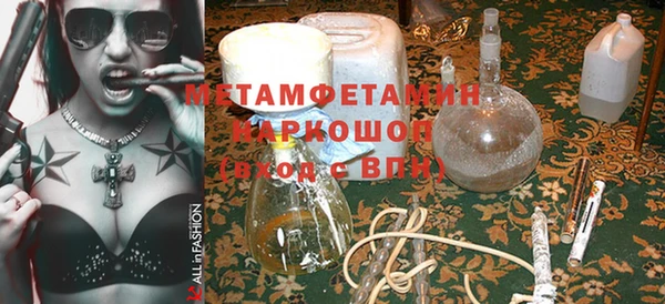 индика Пестово