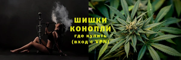 стафф Пересвет