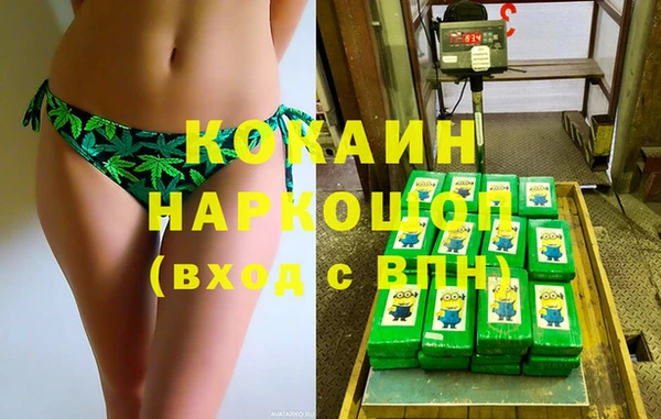 дживик Ельня
