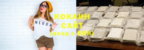 дживик Ельня