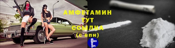 дживик Ельня