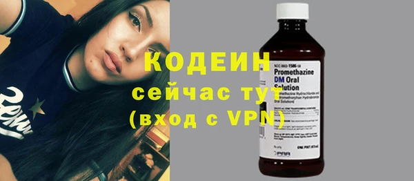 индика Пестово