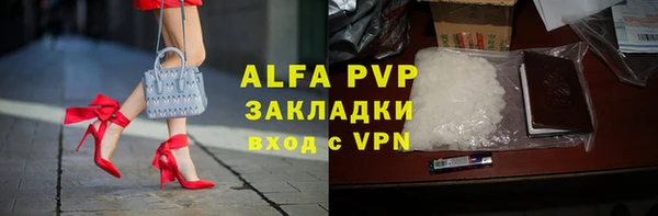 дживик Ельня