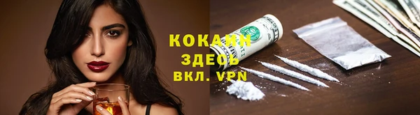 дживик Ельня