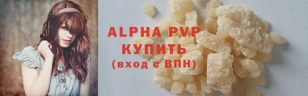 индика Пестово