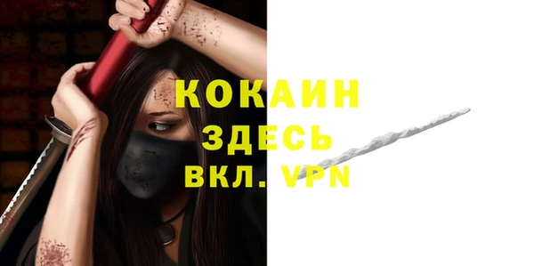 индика Пестово