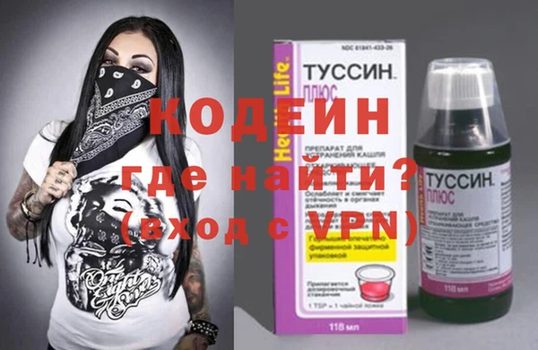 дживик Ельня