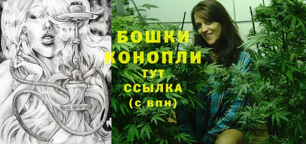мяу мяу мука Елабуга