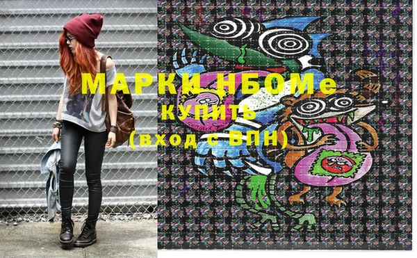 индика Пестово