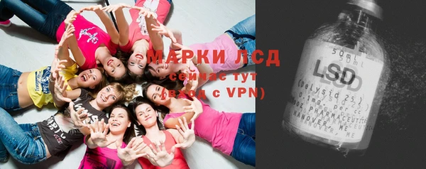 стафф Пересвет