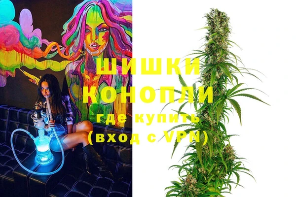 дживик Ельня