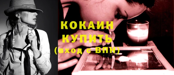 индика Пестово
