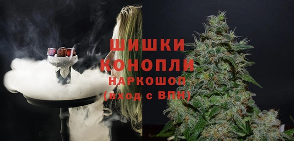 индика Пестово
