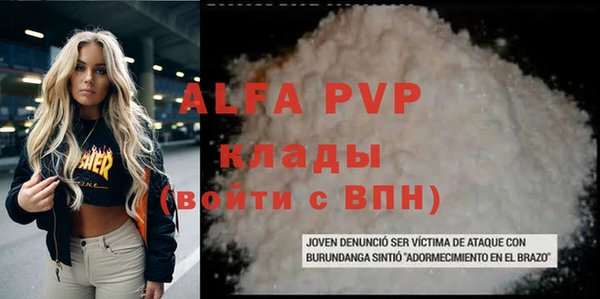 дживик Ельня