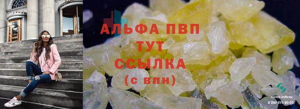стафф Пересвет